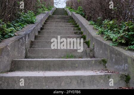 Vecchi passi di cemento mussoso che conducono in su. Scaletta su. Foto Stock