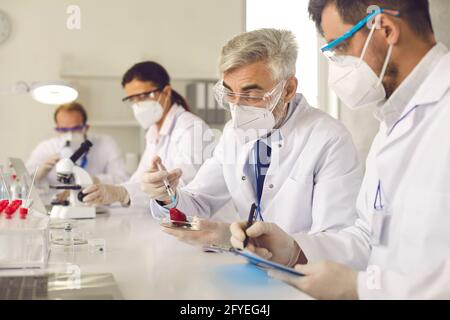 Scienziati genetici che fanno ricerca alimentare e sviluppando alimenti geneticamente modificati in il loro laboratorio Foto Stock