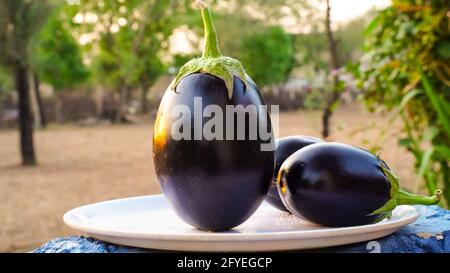 Melanzane fresche e sfondo tramonto. Melanzana viola cruda in un cestino speciale di vimini per Eggplant su sfondo sfocato. Foto Stock