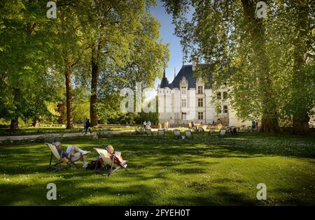 FRANCIA. INDRE-ET-LOIRE (37) CASTELLO DI AZAY-LE-RIDEAU DAL PARCO Foto Stock