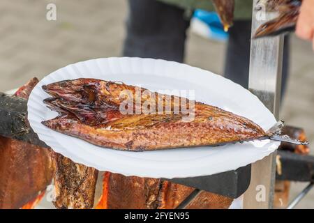 Pezzo di sgombro speziato affumicato pronto a mangiare servito in un piatto, primo piano Foto Stock