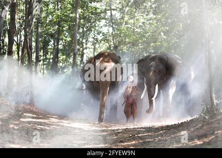 Un elefante mahout e un elefante che cammina attraverso la foschia nella giungla. Stile di vita di surin elefanti villaggio. Foto Stock