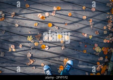 Una vista dall'alto delle vecchie tavole di legno coperte da foglie gialle cadenti dell'autunno e i piedi si infranono in sneakers. Foto Stock