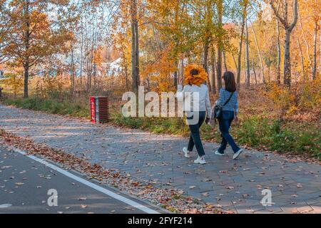 Due giovani donne irriconoscibili camminano lungo i sentieri del parco autunnale disseminati di foglie gialle cadute. Uno di loro indossa una corona di acero nel suo periodo Foto Stock