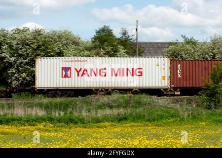 Un contenitore di spedizione Yang Ming su un treno freightliner, Northamptonshire, Regno Unito Foto Stock