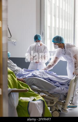Mobilizzazione di un paziente anziano da parte di un fisioterapista e di un infermiere, l'unità di ricovero Covid della CHU de Limoges. Foto Stock