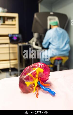 stampa 3d di un rene. Chirurgia renale conservativa robotica guidata da immagini assistita da modellazione 3D, questa modellazione 3D del rene con le sue guide tumorali th Foto Stock