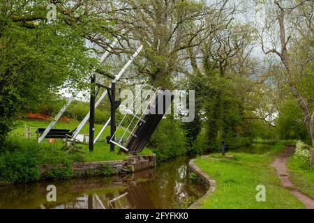 Ponte di sollevamento in posizione rialzata, Monhuthshire e Brecon Canal, Powys, Galles, Regno Unito Foto Stock