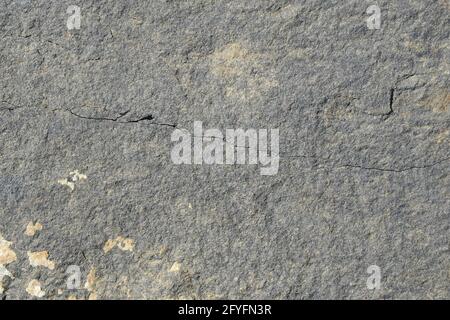 La consistenza della superficie ruvida della roccia è fatta di pietra grigia con crepe e inclusioni colorate. Foto Stock