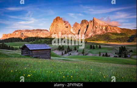 Mt.Sassolungo al tramonto, vista dall'Alpe di Siusi, Dolomiti, Italia Foto Stock