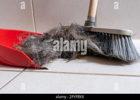 Spazzolare la scopa con la spazzolina per la pulizia dei capelli umani Foto Stock