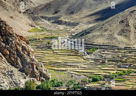 Vista aerea del paesaggio ladakh, campo verde valle con montagne aride intorno, gioco di luce e ombra sul suolo, Leh, Ladakh, India Foto Stock