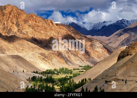 Paesaggio roccioso di Ladakh con valle verde nel mezzo, gioco di luce e ombra Jammu e Kashmir, Leh, India Foto Stock