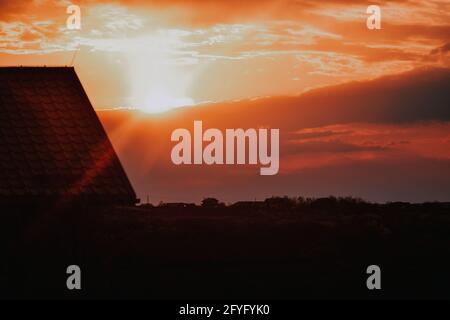 Tramonto dorato su un campo Foto Stock