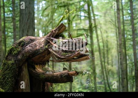 Mistica creatura o mostro di alberi di foresta che assomiglia a un drago o un animale. Il vecchio moncone dell'albero morphed e decorato passando dalla gente ad un'anima di fantasia Foto Stock