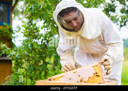 Donna apicoltore, sorriso e sicurezza in fattoria con tuta da apicoltura,  visione o felice in estate tempo di raccolta. Ape esperto, dpi vestiti o  felicità in eco Foto stock - Alamy