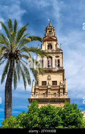 Campanile, Cattedrale , Cordova, Andalusia, Spagna Foto Stock