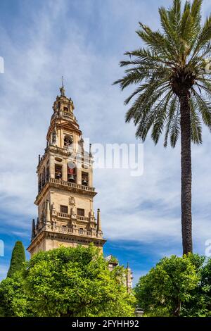 Campanile, Cattedrale , Cordova, Andalusia, Spagna Foto Stock
