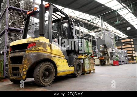 Caricatore elevatore a forche. Attrezzatura del transpallet al magazzino. Foto di alta qualità Foto Stock