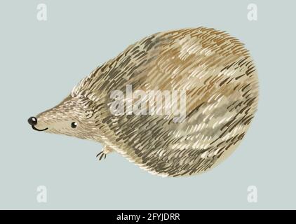 cute hedgehog illustrazione disegnata a mano Foto Stock