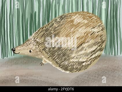 cute hedgehog illustrazione disegnata a mano Foto Stock