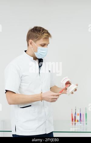 Dentista che mostra la corretta igiene dentale utilizzando mock-up di scheletro di denti. Medico stomatologo che spiega la corretta igiene dentale per il paziente che tiene un campione di mandibola umana con spazzolino da denti. Foto Stock