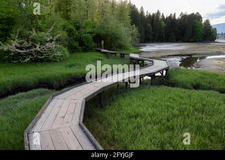 Shoreline Trail, Port Moody, Greater Vancouver, British Columbia, Canada Foto Stock