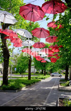 Ombrelloni come decorazioni sopra la passeggiata pedonale nel centro di Ogre Lettonia Foto Stock