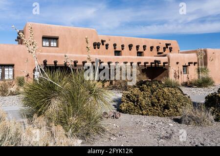Soaptree Yucche di fronte al Centro visitatori del Parco Nazionale White Sands, New Mexico. Foto Stock