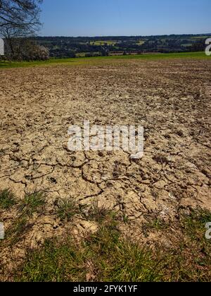 Percorso arido attraverso il vasto paesaggio agricolo del Kent, l'Inghilterra meridionale, il Regno Unito, l'Europa Foto Stock