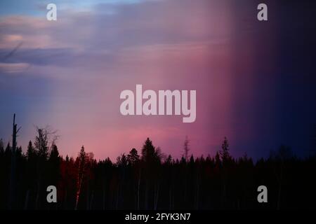 Foto di una fetta di foresta svedese da giorno a notte. Foto Stock