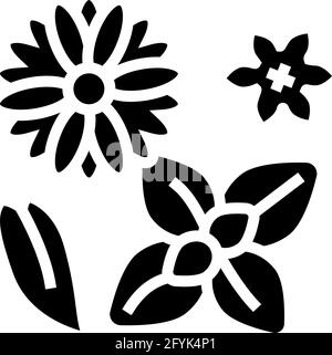 fiori fitoterapia icona glifo illustrazione vettoriale Illustrazione Vettoriale