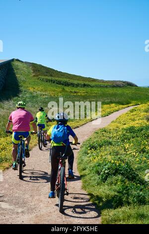5 MAGGIO 2018 - la Coruña, Galizia, Spagna: Tre ciclisti che cavalcano le loro biciclette sulla strada accanto alle Ercole di Torre, circondato da erba verde e fl Foto Stock