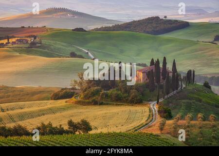 L'iconico casale Belverdere è immerso nella luce del primo mattino nel cuore della Toscana, nella Val d'Orcia, in Toscana. Foto Stock