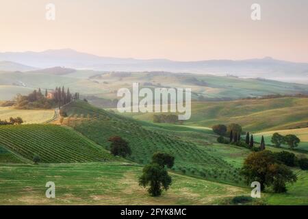 L'iconico casale Belverdere, immerso nella luce del mattino, nel cuore della Toscana, nella Val d'Orcia, in Toscana. Foto Stock