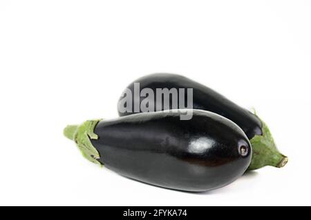 Due melanzane del giardino biologico di Valencia in Spagna. Foto Stock