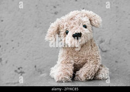 Simpatico simpatico cane peluche su sfondo grigio Foto Stock