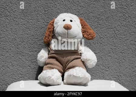 Simpatico simpatico cane peluche su sfondo grigio Foto Stock