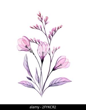 Bouquet di crocus acquerello. Opere d'arte dipinte a mano con fiori di primavera trasparenti e ramificazioni. Illustrazione botanica per le schede, disegno di cerimonia nuziale Foto Stock