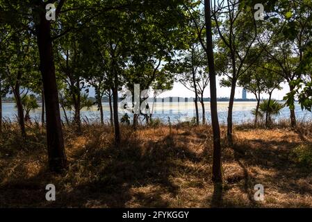 Vista della laguna dalla foresta di Izmir Kent Foto Stock