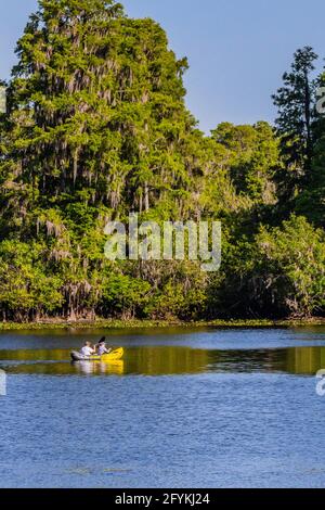 Coppia kayak sul fiume Hillsborough, Lettuce Lake, Tampa, Florida. Foto Stock