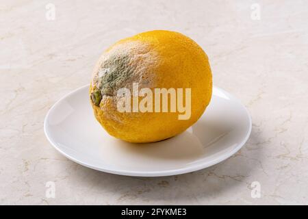 Il limone è stato viziato da un primo piano di un piatto bianco. Muffa fungina verde bianca su un primo piano di agrumi marcio. Frutta rovinata a causa di stoccaggio troppo a lungo. Foto Stock