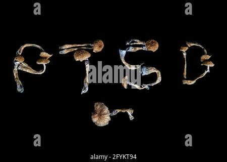 Psichedelico psilocibin Magic Mushrooms ortografia PTSD Foto Stock