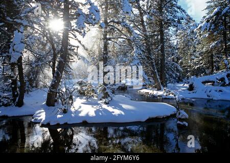 FRANCIA PIRENEI ORIENTALI (66). LA CERDANYA. IL FIUME TET IN INVERNO Foto Stock