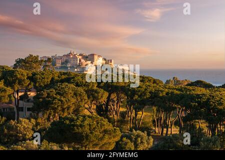 Sole di mattina presto sulla cittadella di Calvi nel Balagne regione della Corsica con pini in primo piano E il Mediterraneo in lontananza Foto Stock