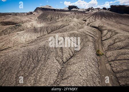 Viste di alien cercando formazioni di pietra a Ischigualasto parco provinciale Foto Stock