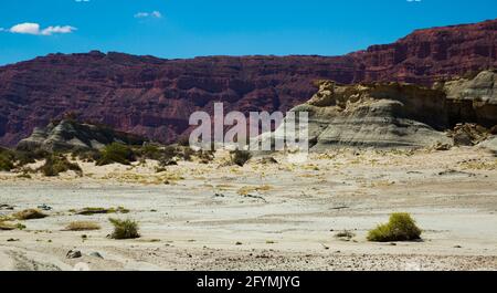 Viste di alien cercando formazioni di pietra a Ischigualasto parco provinciale Foto Stock