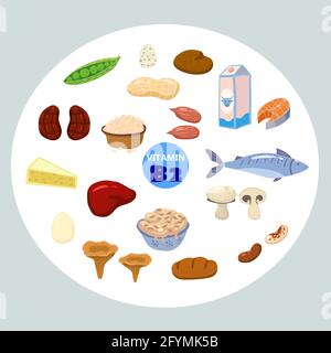 Set di fonti naturali di origine vitamina B2. Alimentazione sana ricca di diario contenente riboflavina, formaggio, funghi, noci, pesce. Prodotti dietetici organici, naturali Illustrazione Vettoriale