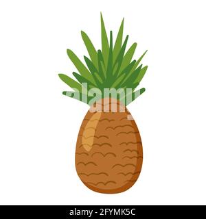 Frutta tropicale di ananas, prodotto sano di nutrizione. Cartoon vettoriale illustrazione piatta disegnata a mano isolata Illustrazione Vettoriale