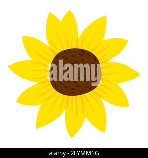 Girasole fiore naturale sano prodotto di nutrizione organica. Vettoriale doodle cartoon piatto illustrazione trendy disegnata a mano isolata Illustrazione Vettoriale